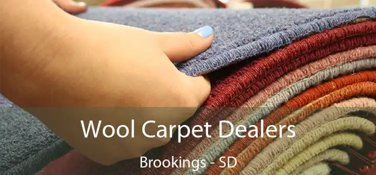  Wool Carpet Dealers Brookings - SD