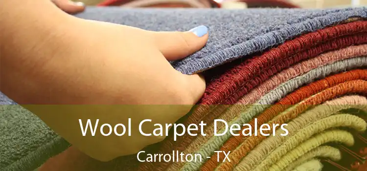  Wool Carpet Dealers Carrollton - TX