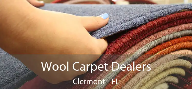  Wool Carpet Dealers Clermont - FL