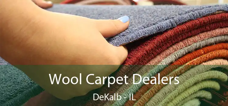  Wool Carpet Dealers DeKalb - IL