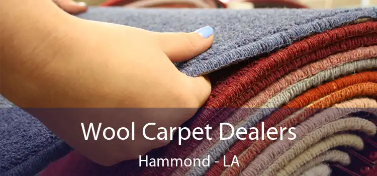  Wool Carpet Dealers Hammond - LA