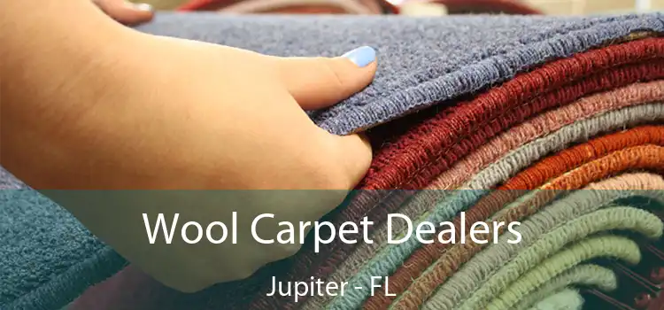  Wool Carpet Dealers Jupiter - FL