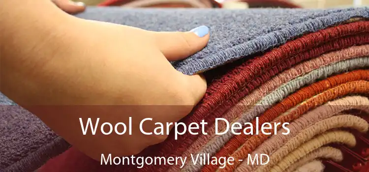 Wool Carpet Dealers Montgomery Village - MD