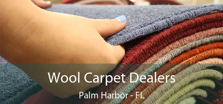  Wool Carpet Dealers Palm Harbor - FL