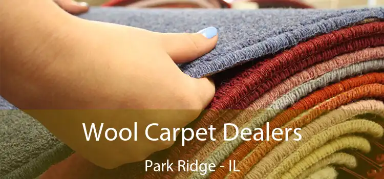  Wool Carpet Dealers Park Ridge - IL