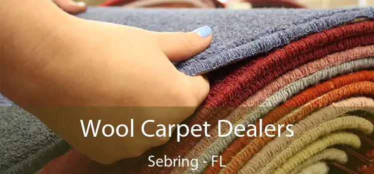  Wool Carpet Dealers Sebring - FL