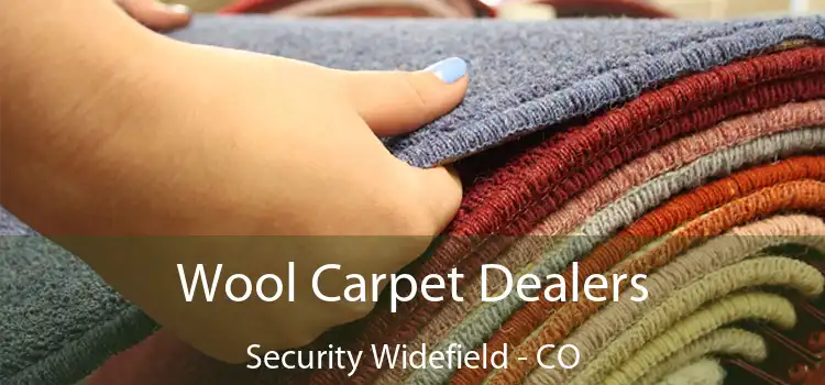 Wool Carpet Dealers Security Widefield - CO