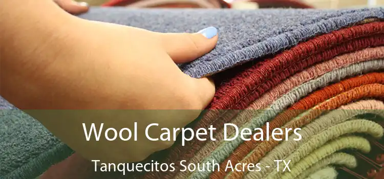  Wool Carpet Dealers Tanquecitos South Acres - TX