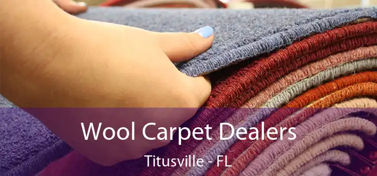 Wool Carpet Dealers Titusville - FL